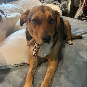 Meet your Posher, Jacqueline